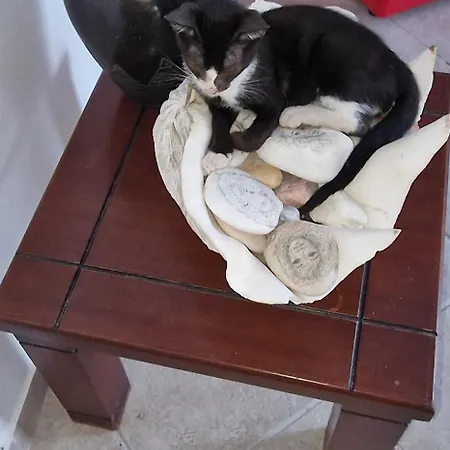 Отель Rita's Place