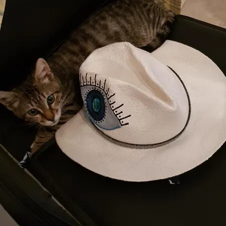 Rita's Place Отель