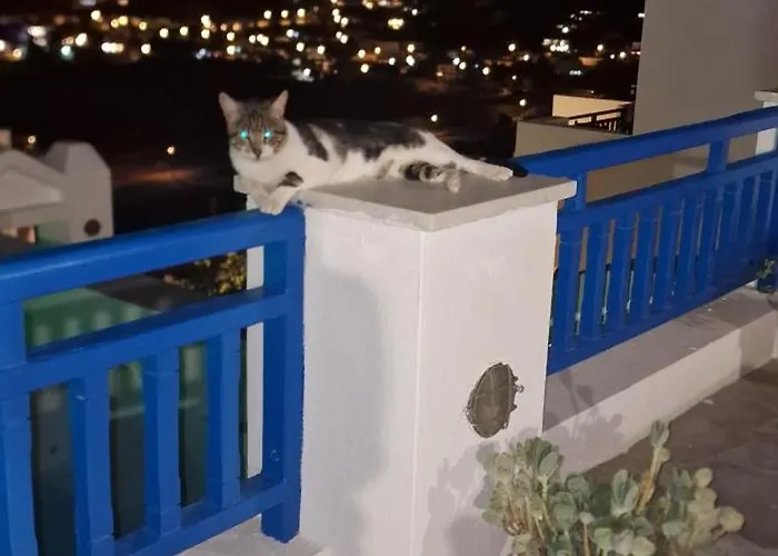 Rita's Place מלון 2*