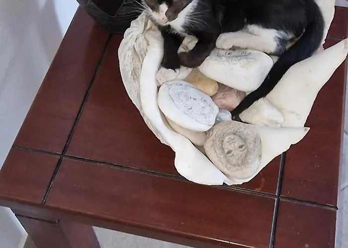 מלון Rita's Place