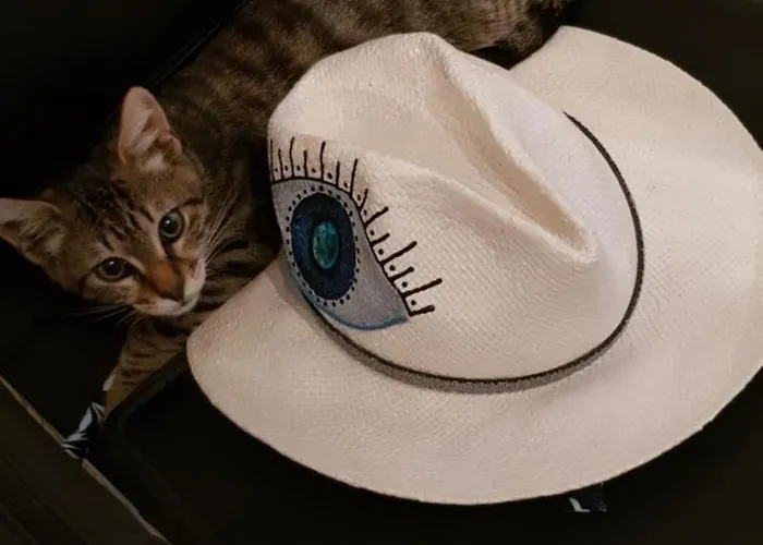 Rita's Place מלון