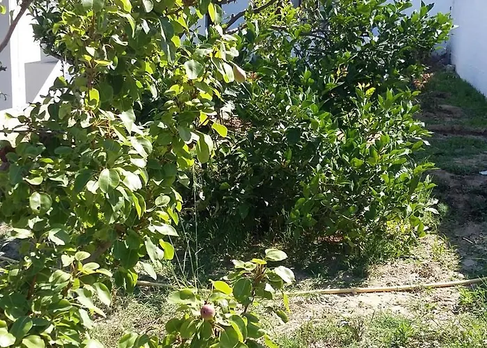 מלון Rita's Place איוס חורה